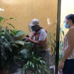 Les ‘pillaron’ 700 kilos de marihuana