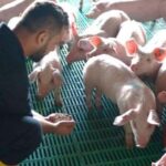 Por presuntas irregularidades en suscripción del PAE, Procuraduría abrió investigación disciplinaria al secretario de Educación de Buenaventura