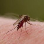 Las tasas de deserción escolar deben bajar, dice secretario de Educación Municipal