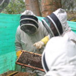 “Nuestra Fuerza Pública está en alerta y va a defender a los ciudadanos”: gobernadora Dilian Francisca Toro