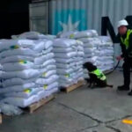 Se mantiene la Alerta Amarilla por actividad en cadena volcánica ‘Los Coconucos’