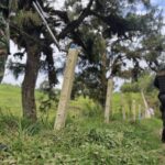 “Es muy grave que se reduzca el presupuesto para la Fuerza Pública”: Alcalde Eder