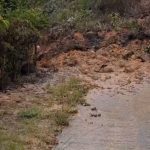 En marcha en Palmira ‘Sintecronic’