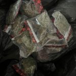 Capturados miembros de presunta red de tráfico de estupefacientes